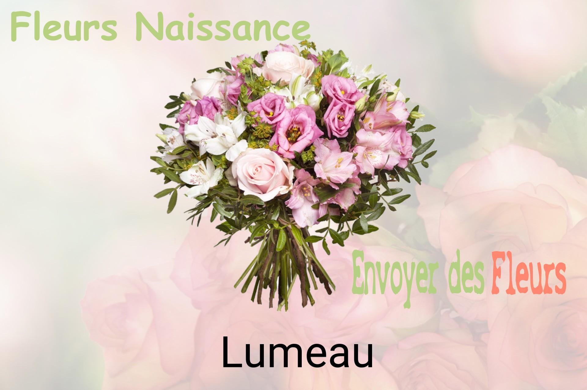 Bouquet de fleurs de naissance livré à Lumeau