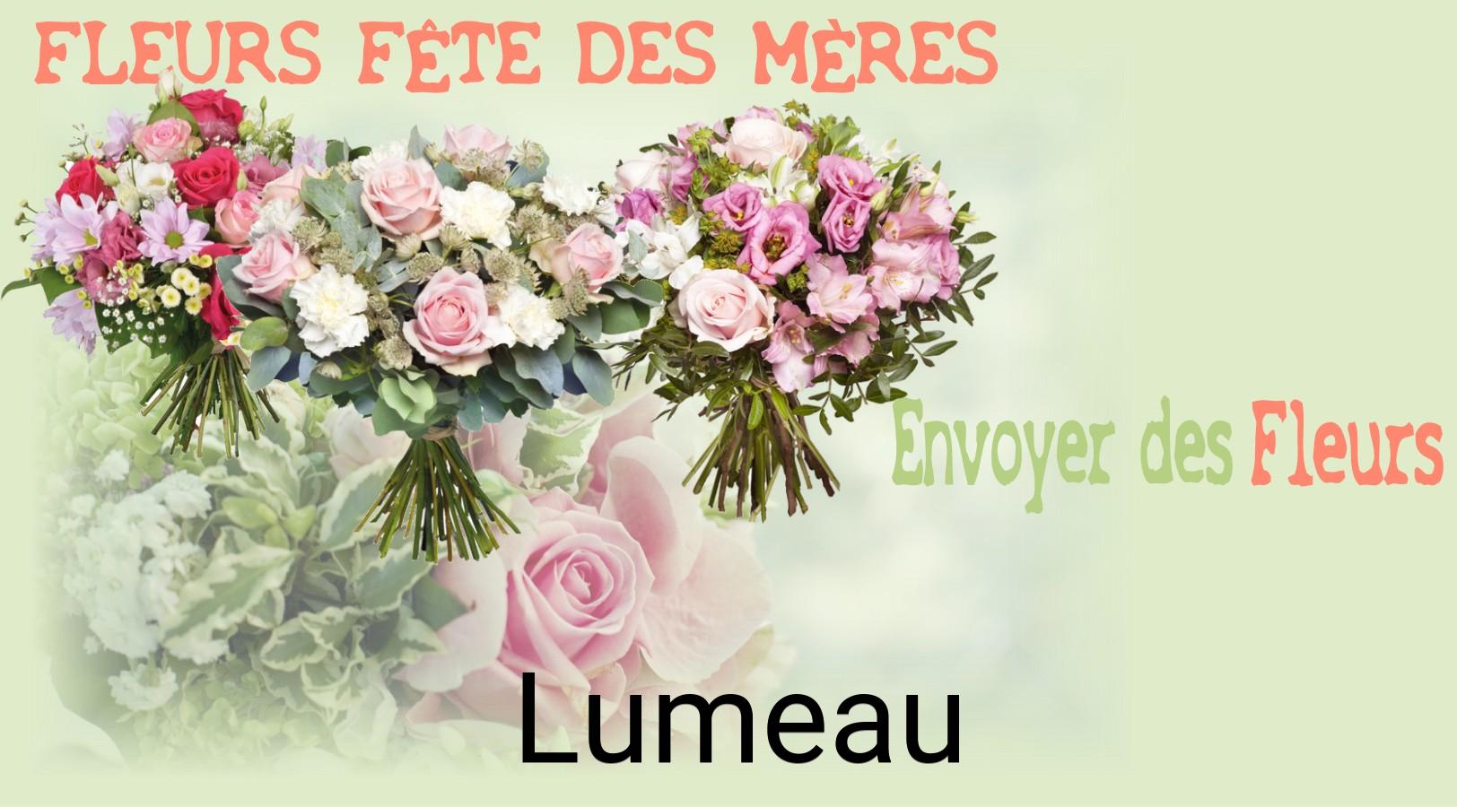 Bouquet de Fête des Mères livré à Lumeau